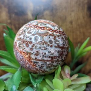 🐆 leopard Jasper Sphere 🐆